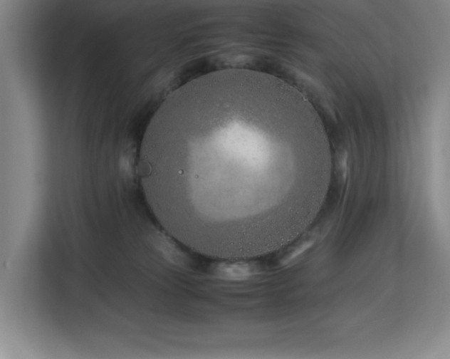 X0000113090181200908281251