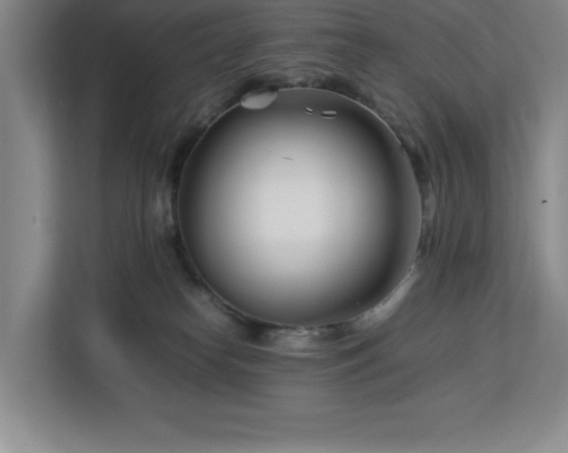 X0000113090182200908281251