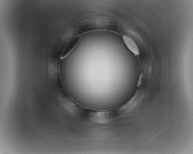 X0000113090184200908281251