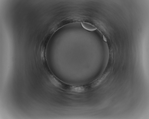 X0000113090185200908281251