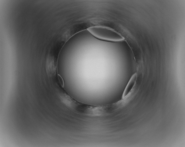 X0000113090186200908281251