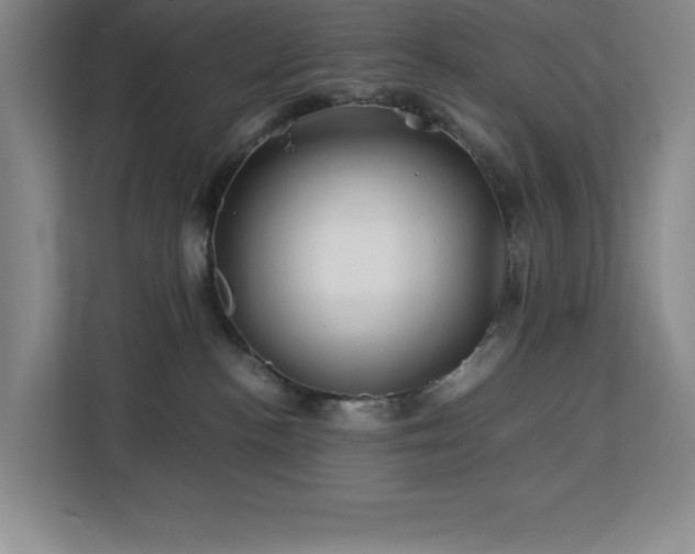 X0000113090188200908281251
