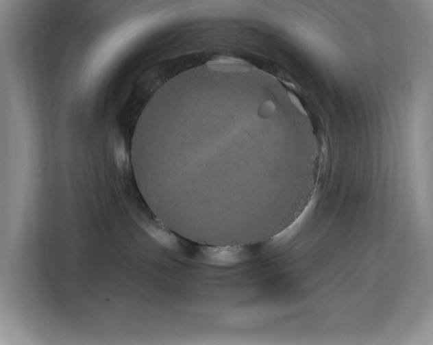 X0000113090191200908281251