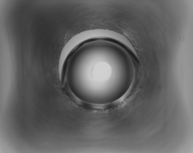 X0000113090192200908281251