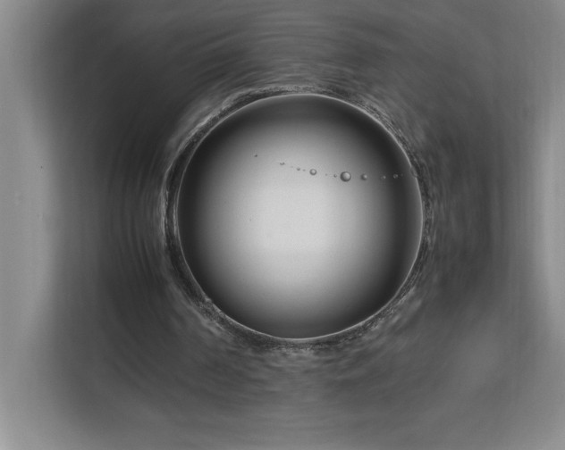 X0000113090194200908281250