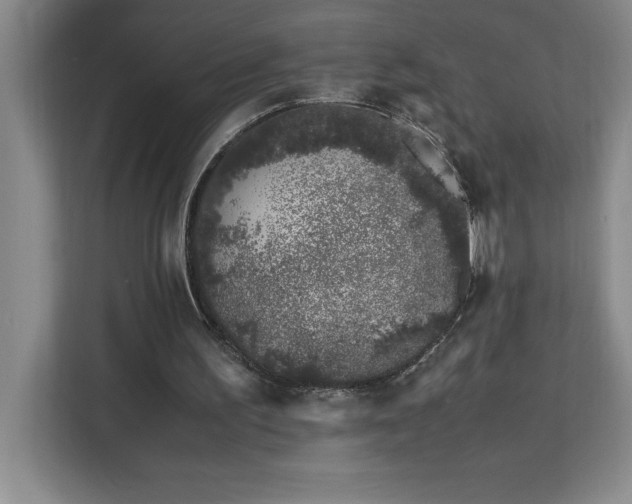 X0000113090195200908281250