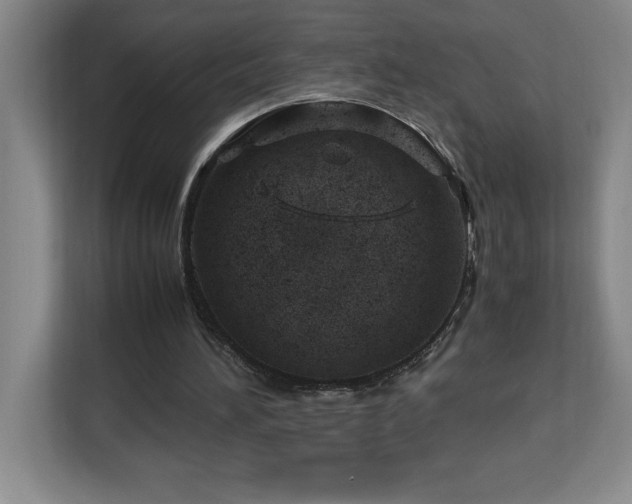 X0000113090196200908281250