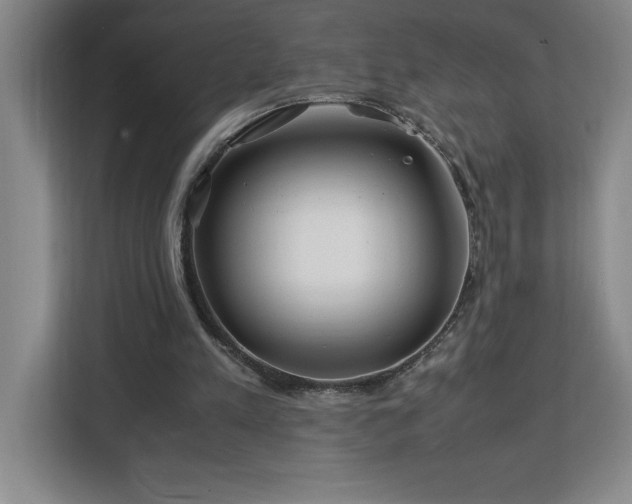 X0000113090197200908281250