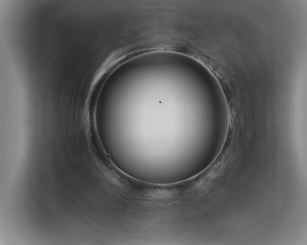 X0000113090198200908281250