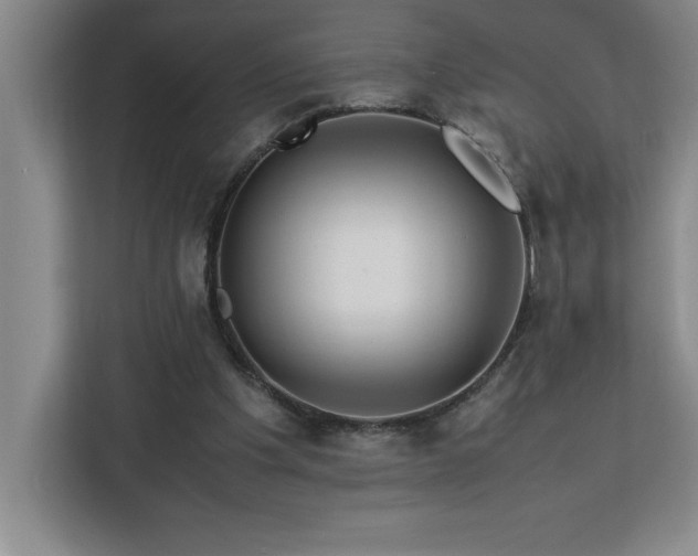 X0000113090201200908281250