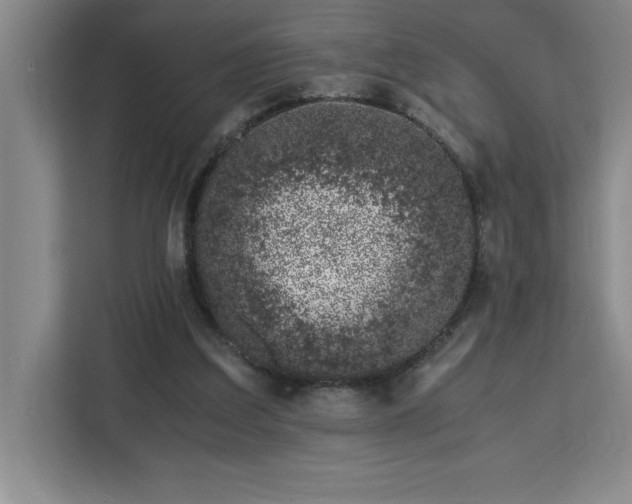 X0000113090203200908281250