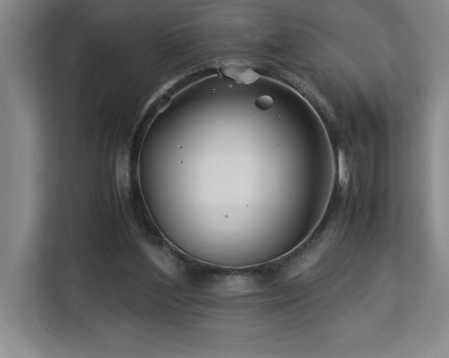 X0000113090204200908281250
