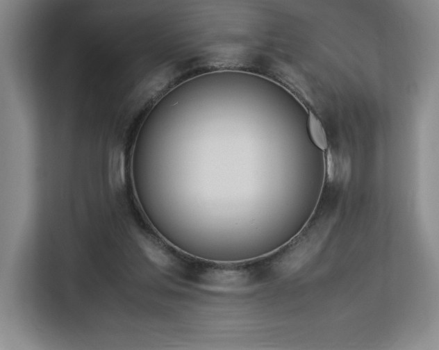 X0000113090205200908281250