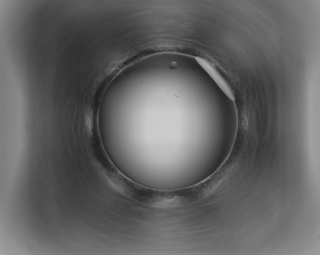 X0000113090206200908281250
