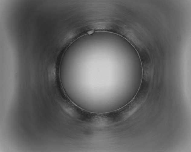 X0000113090207200908281250