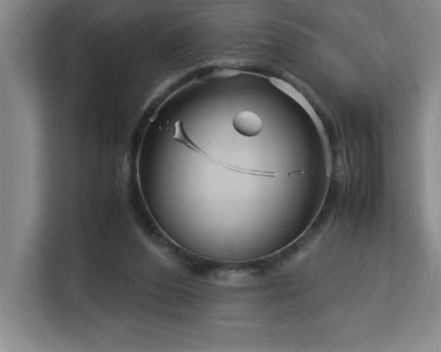 X0000113090208200908281250