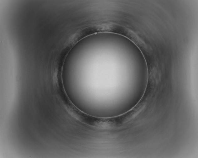 X0000113090209200908281250