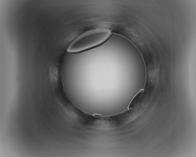 X0000113090211200908281250