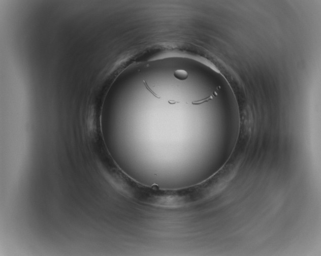 X0000113090212200908281250