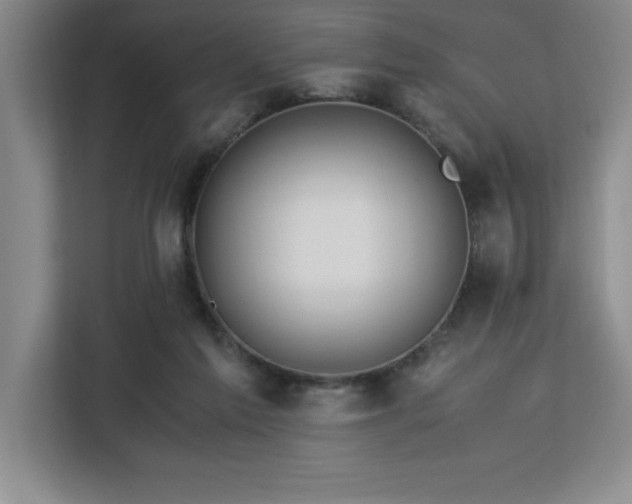 X0000113090213200908281250