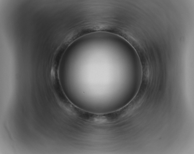X0000113090214200908281250