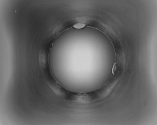 X0000113090215200908281250