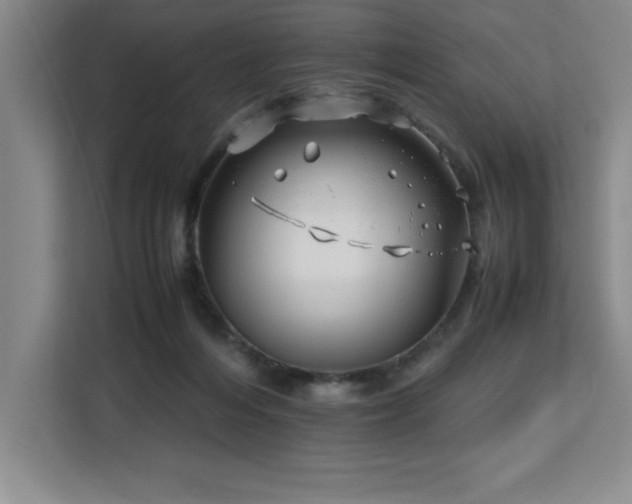 X0000113090216200908281250