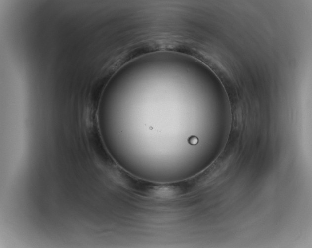 X0000113090218200908281250