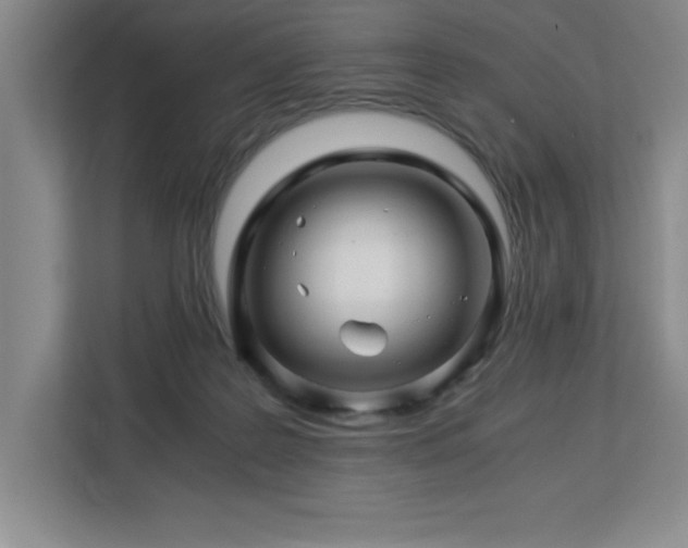 X0000113090219200908281250