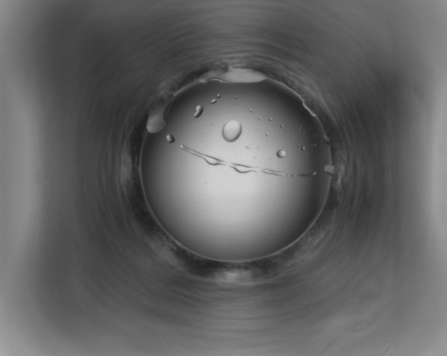 X0000113090220200908281250