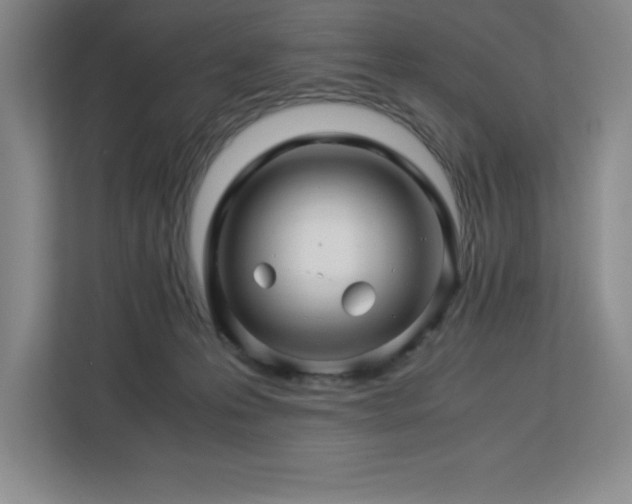 X0000113090223200908281250