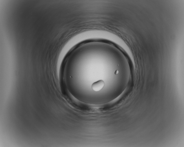 X0000113090227200908281250