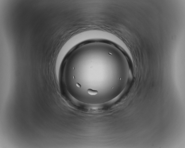 X0000113090231200908281250