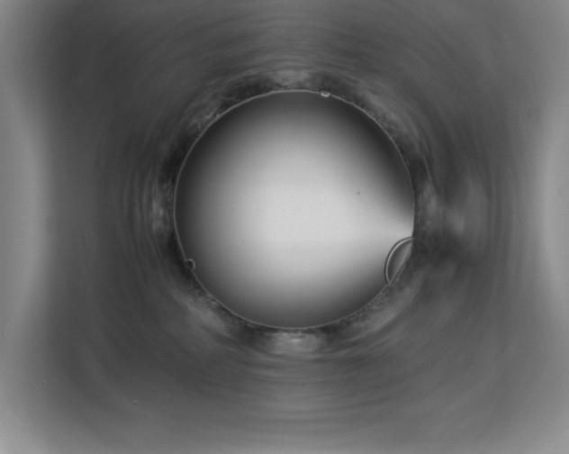X0000113090234200908281249