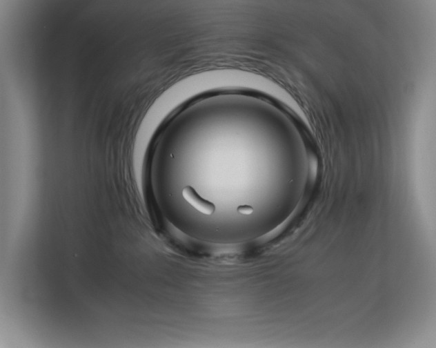 X0000113090235200908281249