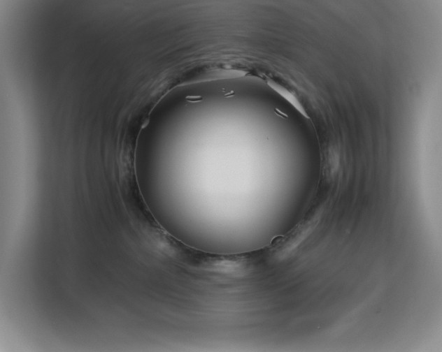 X0000113090236200908281249