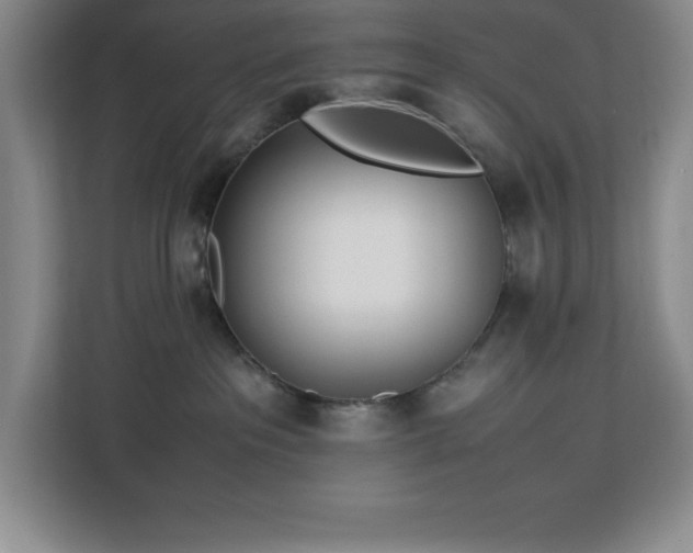 X0000113090237200908281249