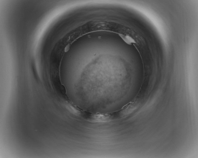X0000113090239200908281249