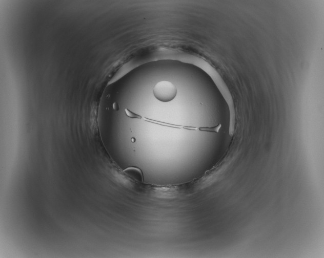 X0000113090240200908281249