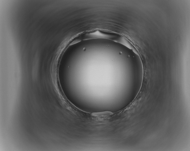 X0000113090241200908281249