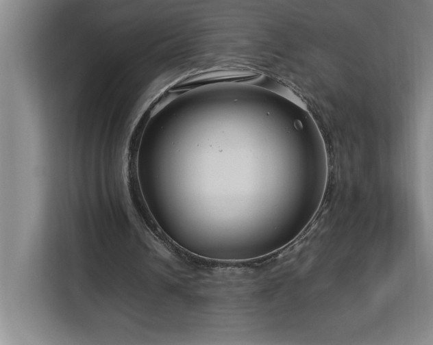 X0000113090242200908281249