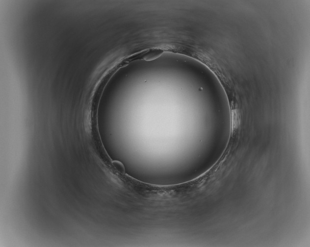 X0000113090243200908281249