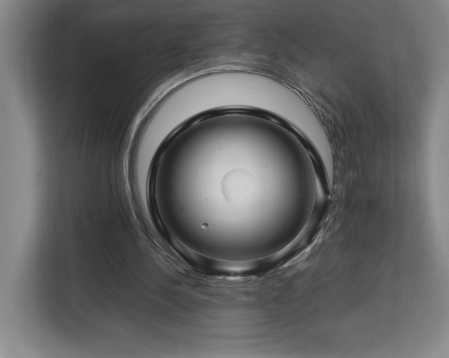 X0000113090244200908281249