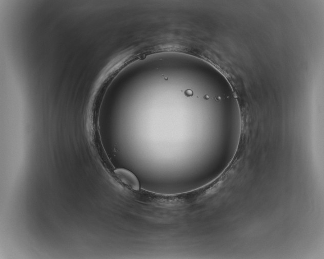 X0000113090245200908281249
