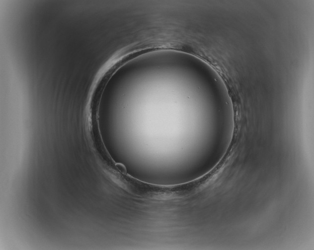 X0000113090246200908281249