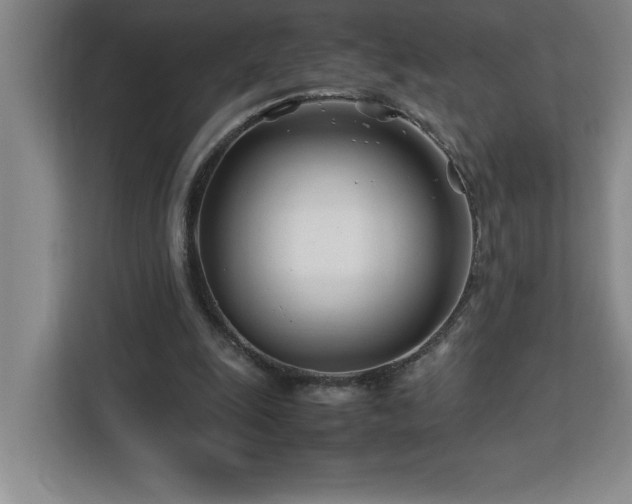 X0000113090247200908281249