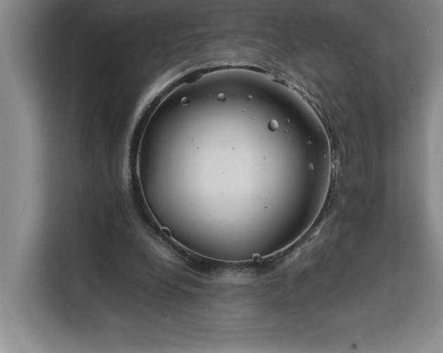 X0000113090248200908281249