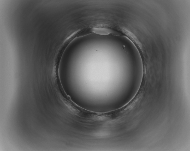 X0000113090249200908281249