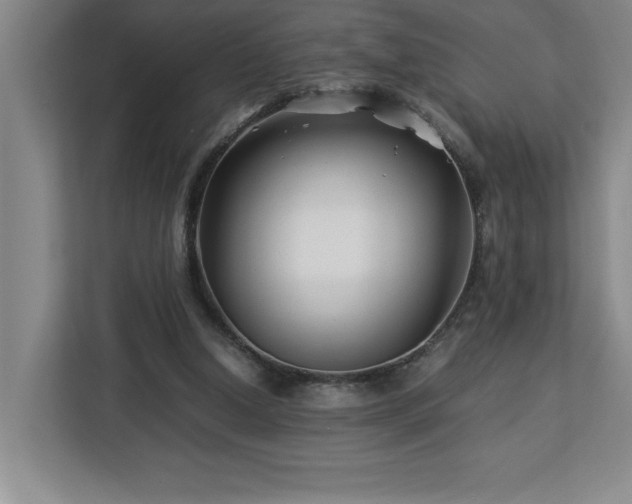 X0000113090250200908281249