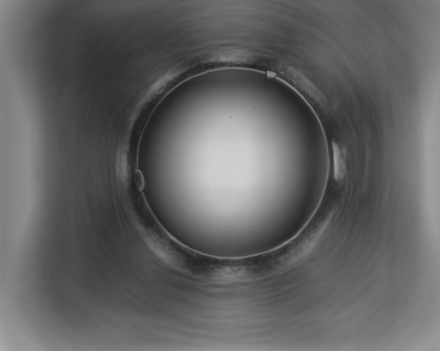 X0000113090252200908281249